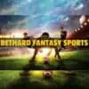 Hur man spelar Fantasy Sports med Bethard
